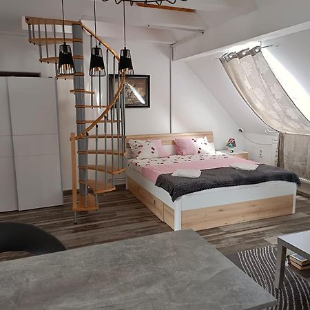 Pension Donaublick Grein 2 In Stifterstrasse 19A Exteriör bild