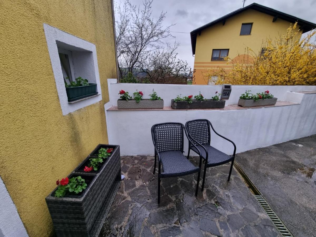 Pension Donaublick Grein 2 In Stifterstrasse 19A Exteriör bild