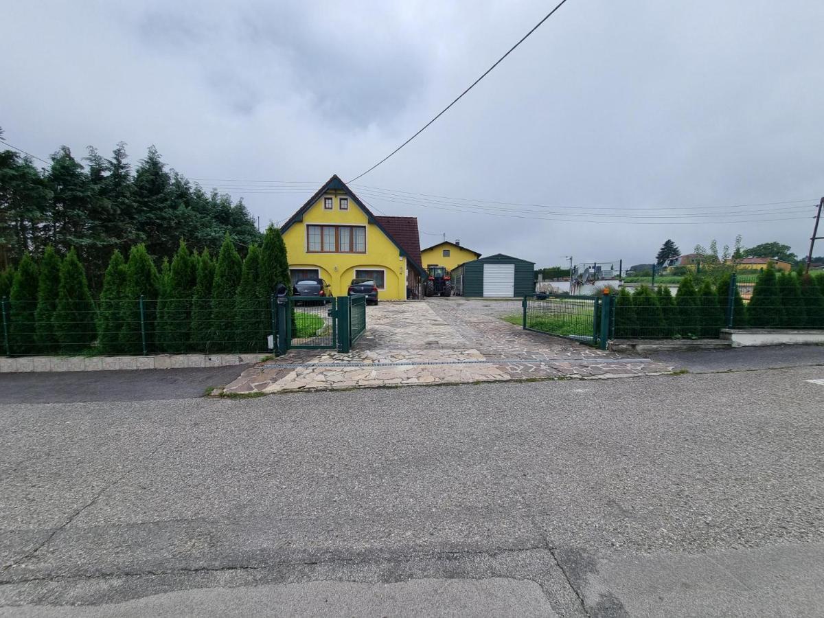 Pension Donaublick Grein 2 In Stifterstrasse 19A Exteriör bild