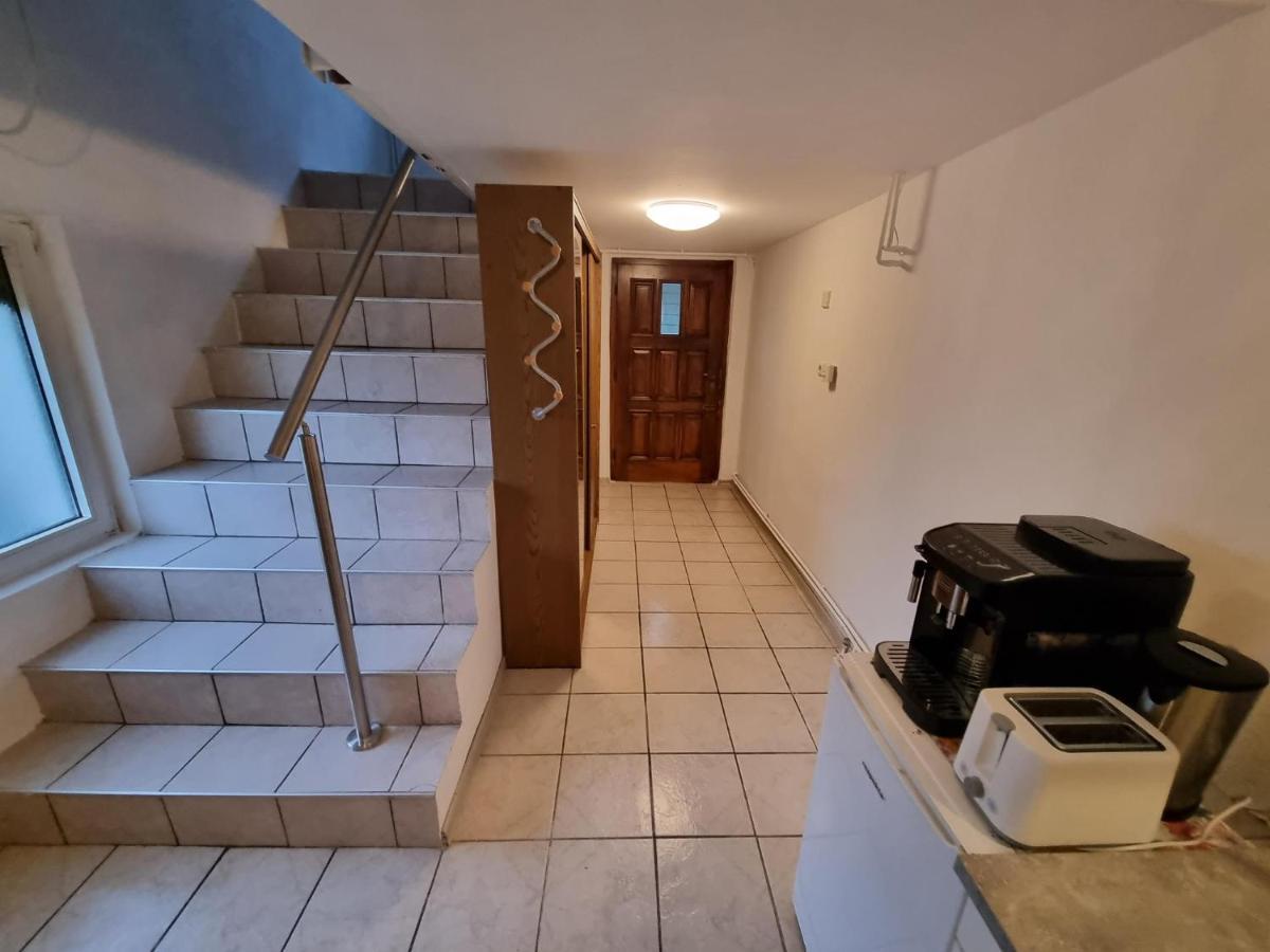 Pension Donaublick Grein 2 In Stifterstrasse 19A Exteriör bild