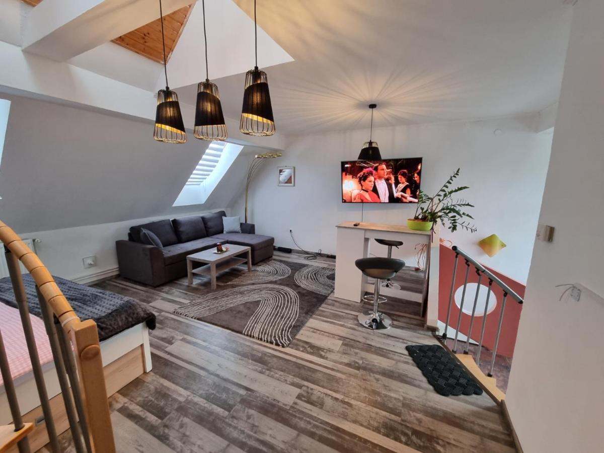 Pension Donaublick Grein 2 In Stifterstrasse 19A Exteriör bild