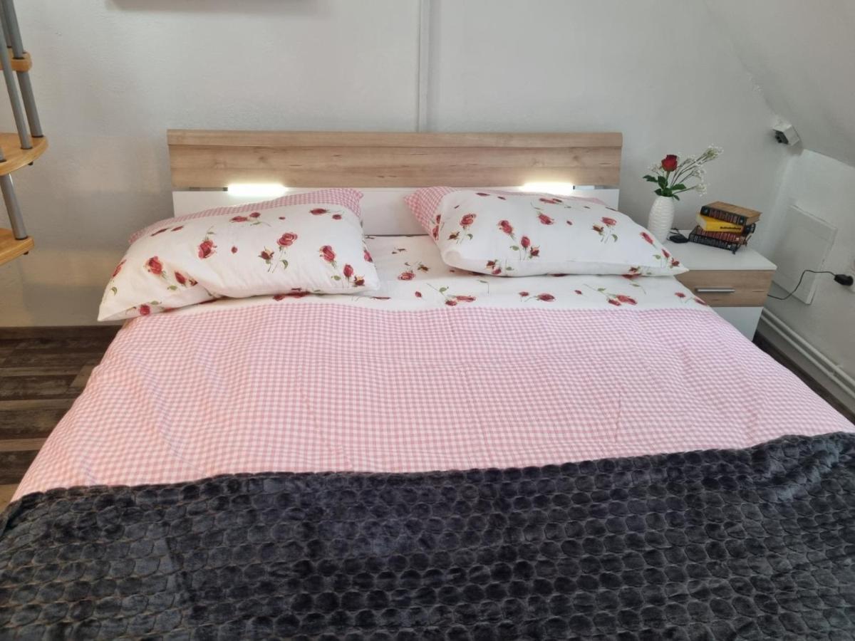 Pension Donaublick Grein 2 In Stifterstrasse 19A Exteriör bild