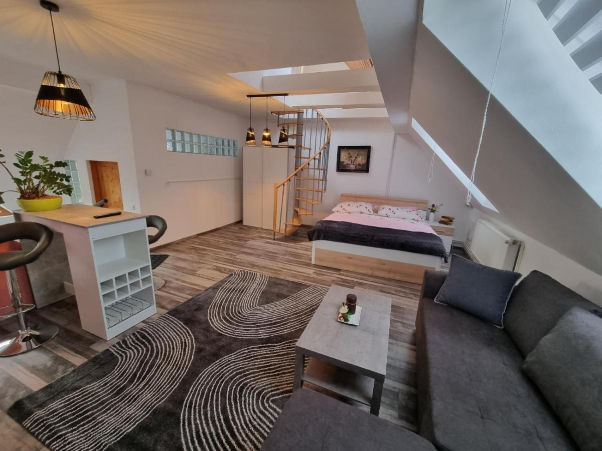 Pension Donaublick Grein 2 In Stifterstrasse 19A Exteriör bild