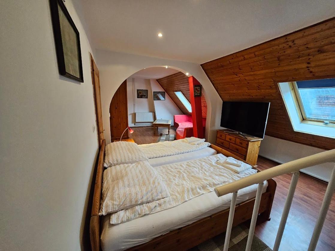 Pension Donaublick Grein 2 In Stifterstrasse 19A Exteriör bild